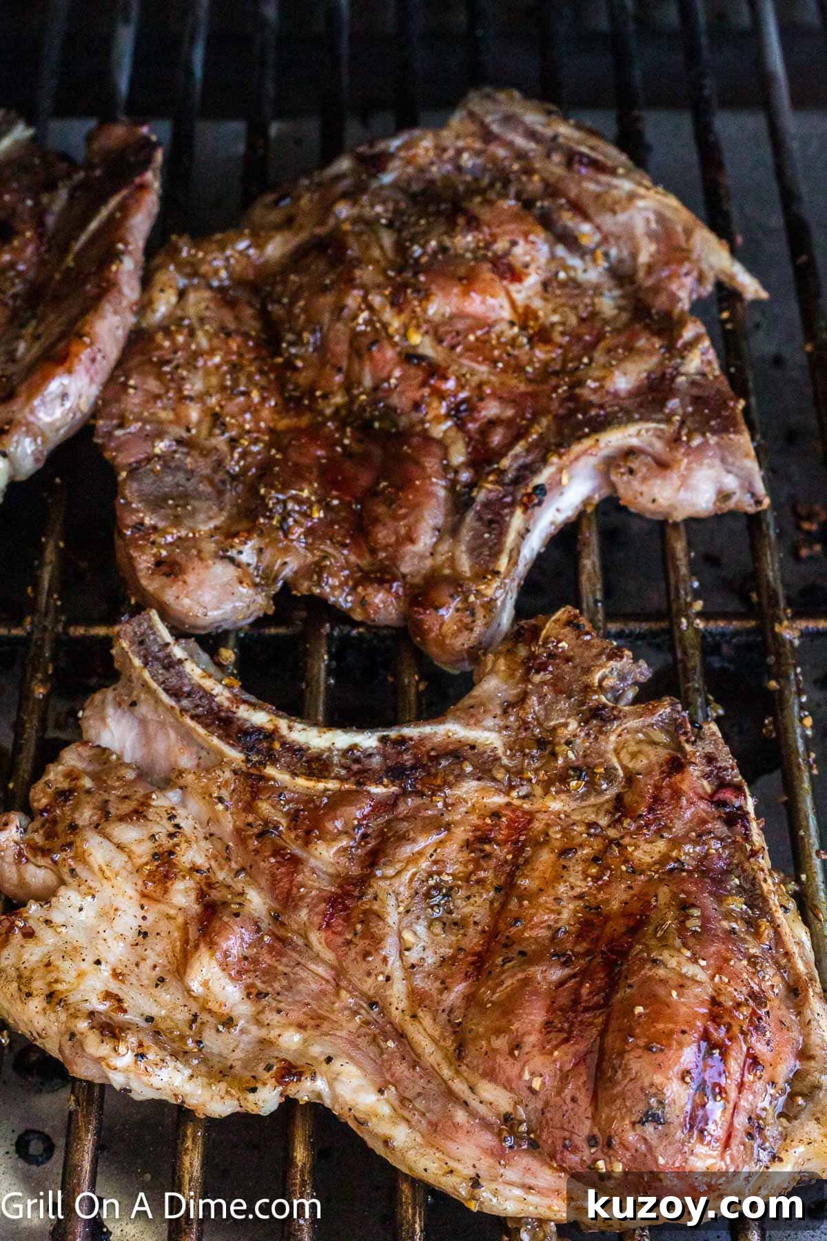 Spicy Honey-Glazed Pork Chops Recipe 7 Grilled Hot Honey Pork Chops on the grill