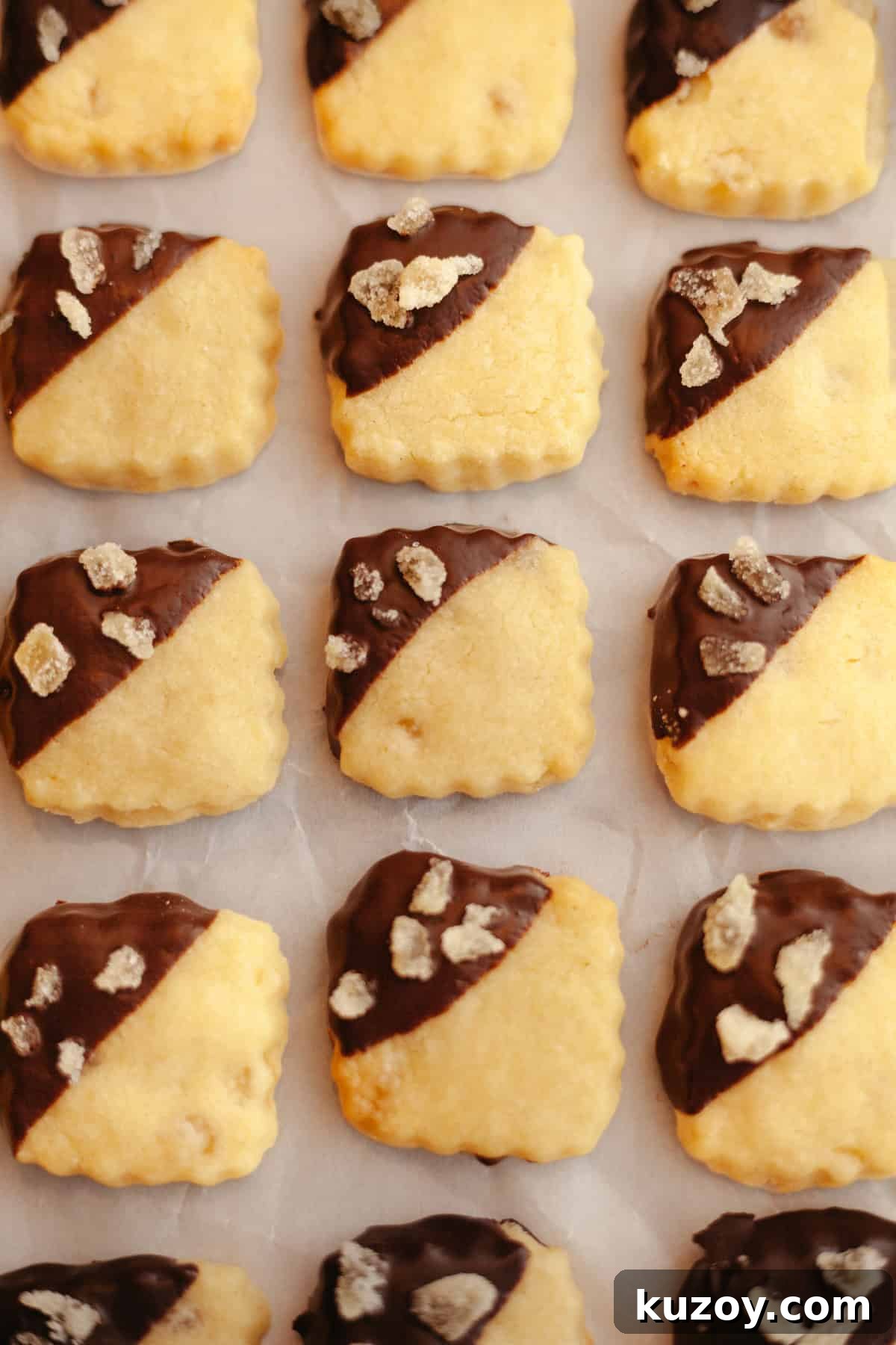 Double-Ginger Shortbread Cookies: Chewy Ginger & Crystallized Chip Recipe 2 Four lines of ginger shortbread cookies, half dipped in chocolate and crystallized ginger.