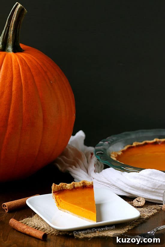 Roasted Winter Squash Pie