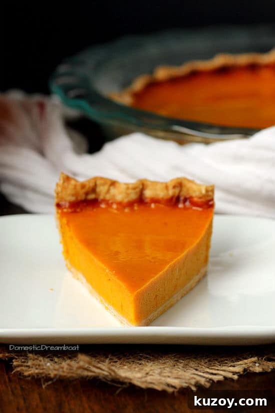 Roasted Winter Squash Pie