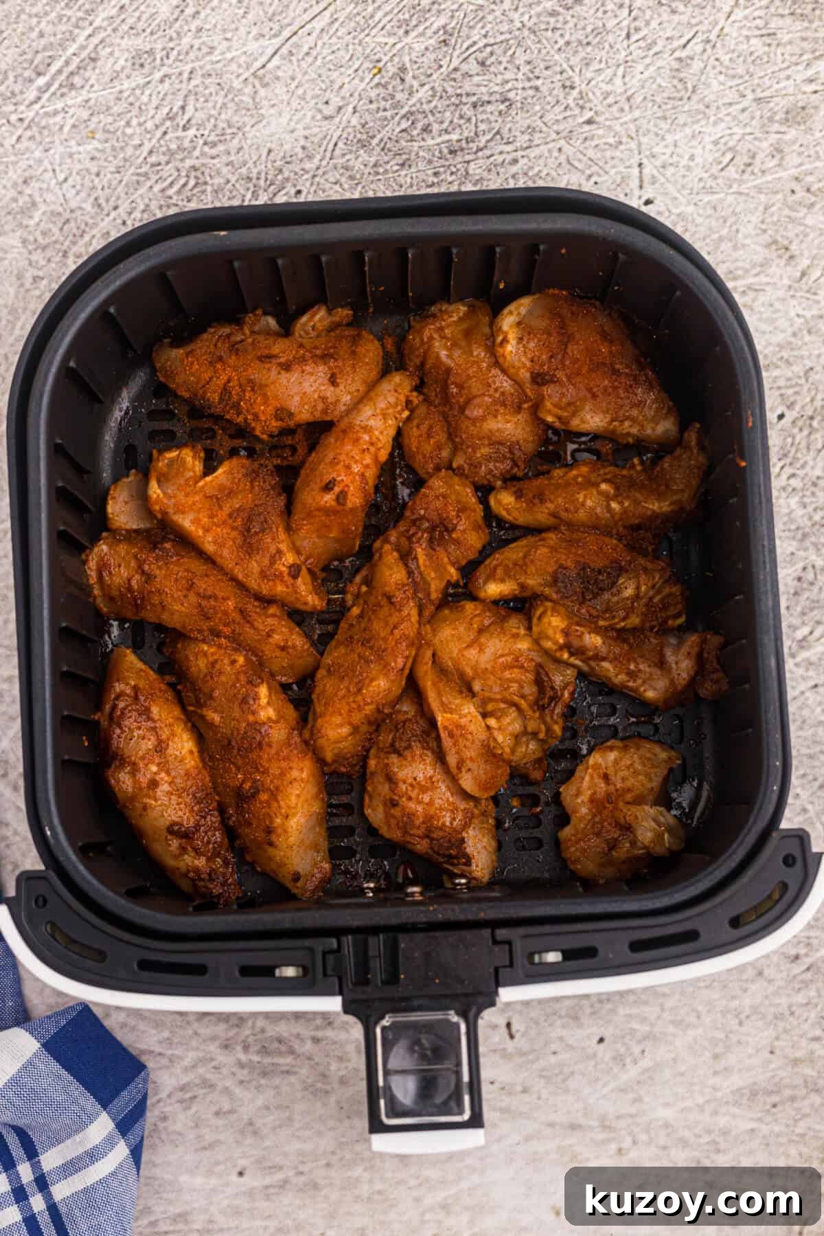 Crispy Air Fryer Blackened Chicken Tenders 5 img 2338 4