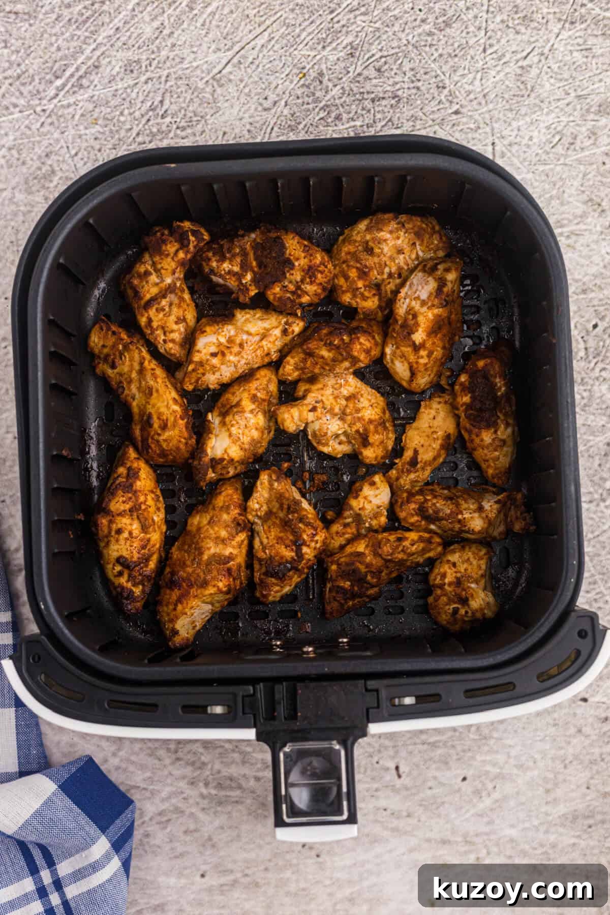 Crispy Air Fryer Blackened Chicken Tenders 6 img 2338 5