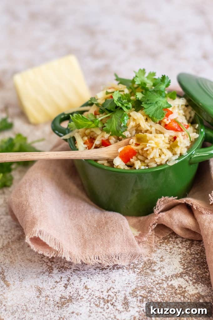 This green chili rice is so flavorful and super simple to make in 10 minutes. It is sure to become a family favorite! The green chilies and cilantro combined with the red peppers make it the perfect red and green holiday rice. Green Chile rice in a. green bowl with cilantro