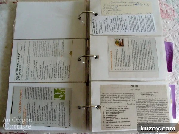 Smart Ways to Organize Your Recipes: Paper and Digital Methods 6 organizing recipes-inside photo album binder
