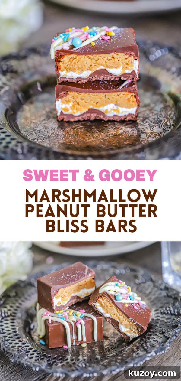 Marshmallow Peanut Butter Chocolate Bliss Bars Recipe 9 PARTY TREATS