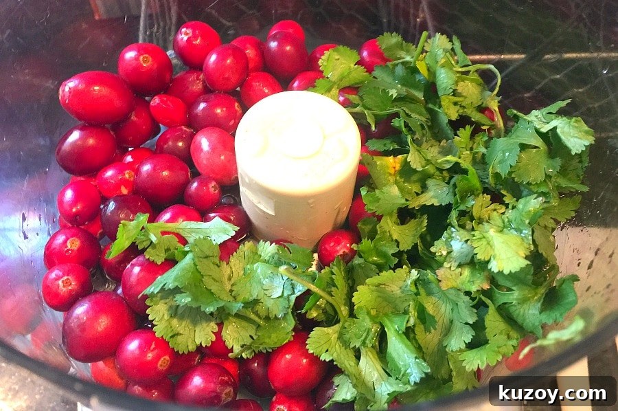 Festive Cranberry Salsa Recipe for Holiday Entertaining 3 Whole Cranberry Salsa ingredients in the food processor