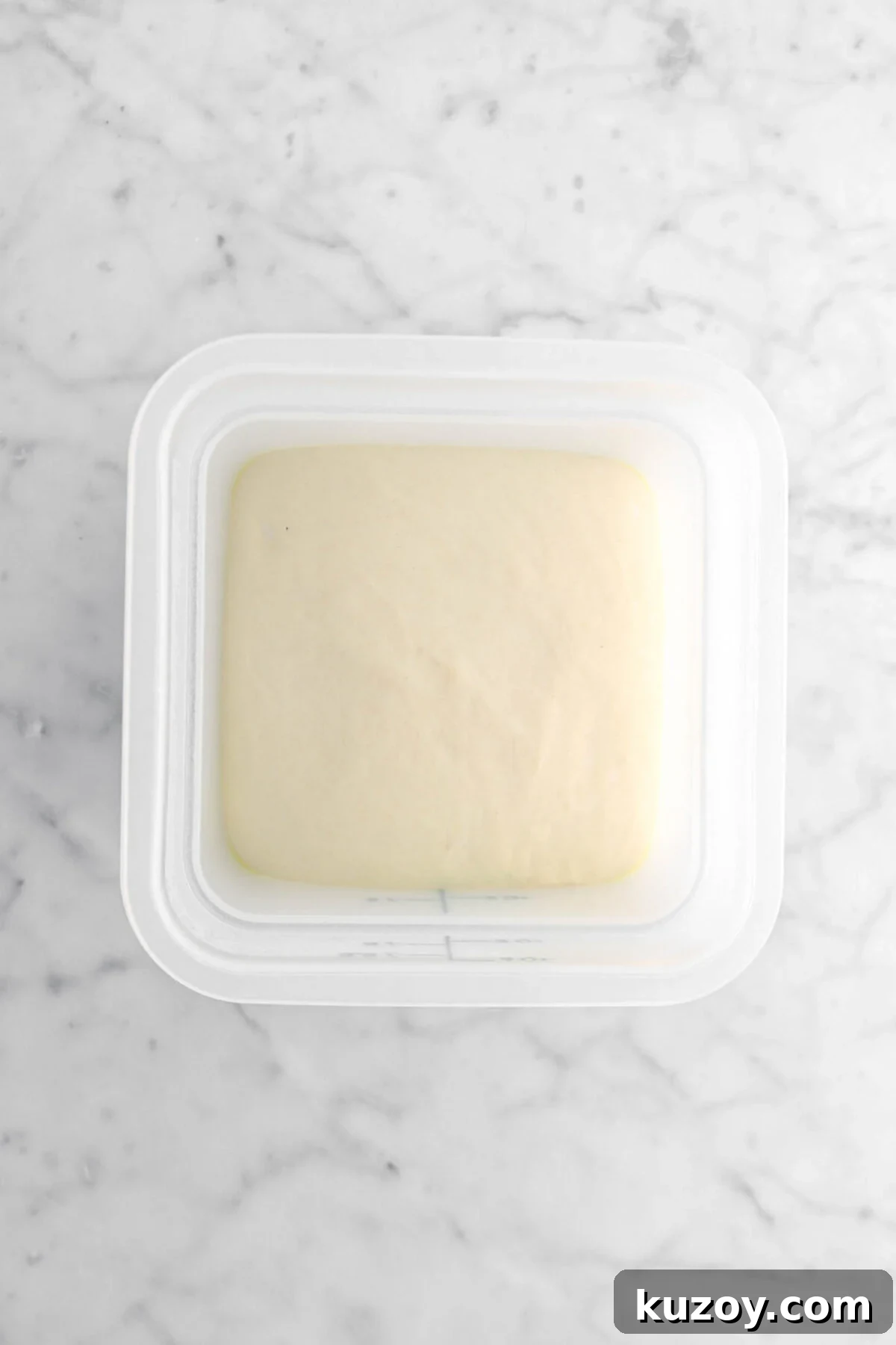 Cinnamon Sugar Walnut Pull-Apart Bread Recipe 14 dough doubled in size in plastic container