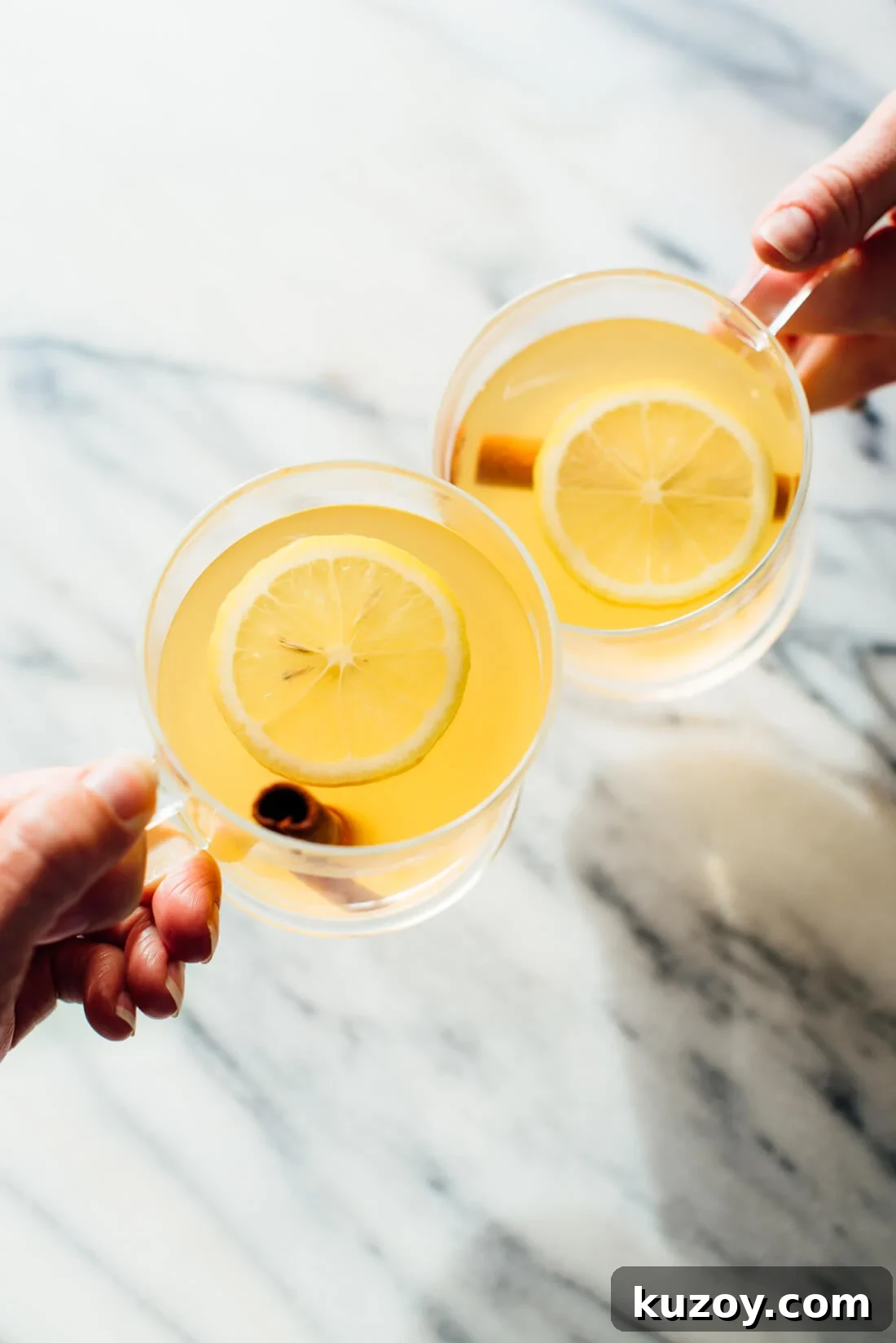 Comforting Hot Toddy Recipe: Warm Spiced Whiskey Drink 5 hot toddy cheers