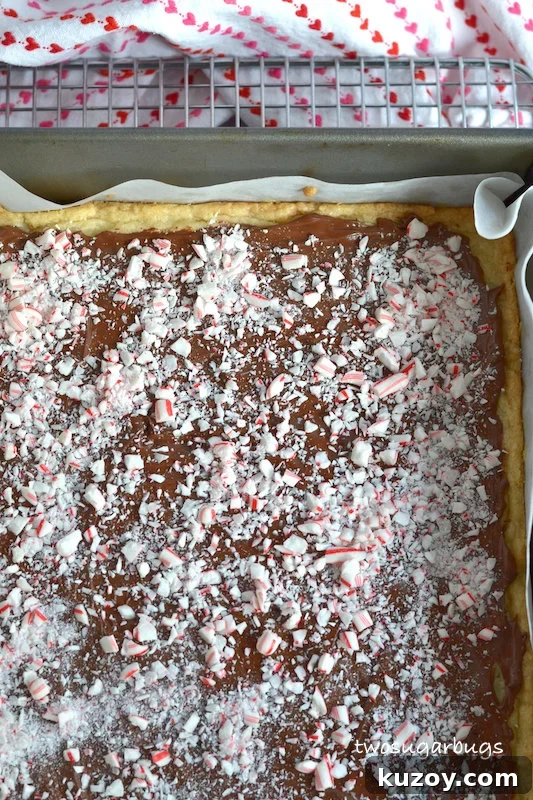 crushed candy canes on top of melted chocolate layer