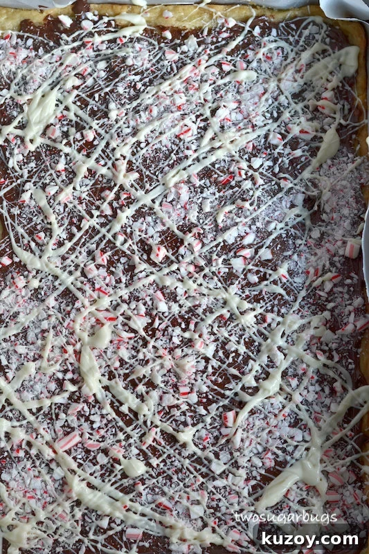 white chocolate drizzled over the chocolate and candy canes