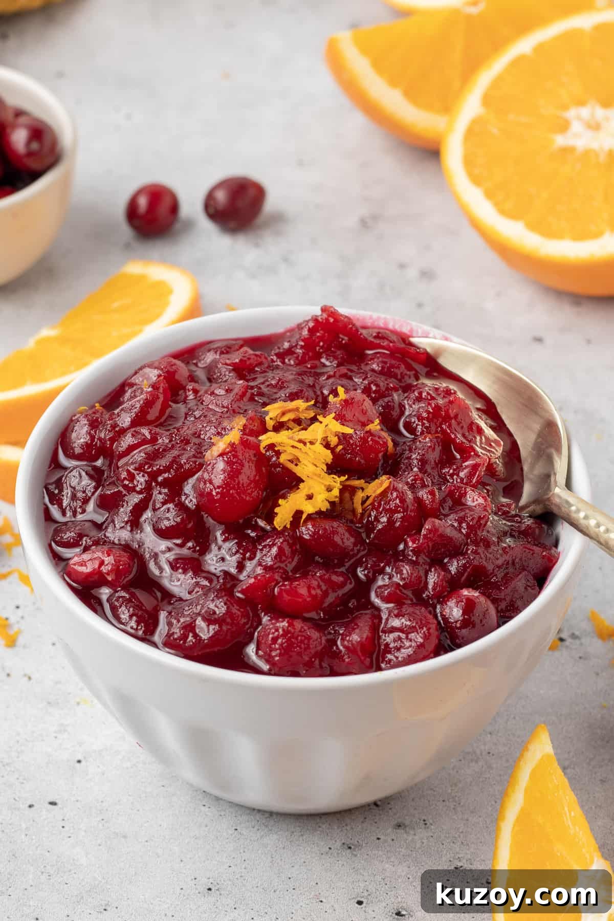 Citrus Cranberry Sauce Recipe: Orange-Infused Holiday Cranberry Sauce 2 A spoon resting in a white bowl filled with cranberry sauce.