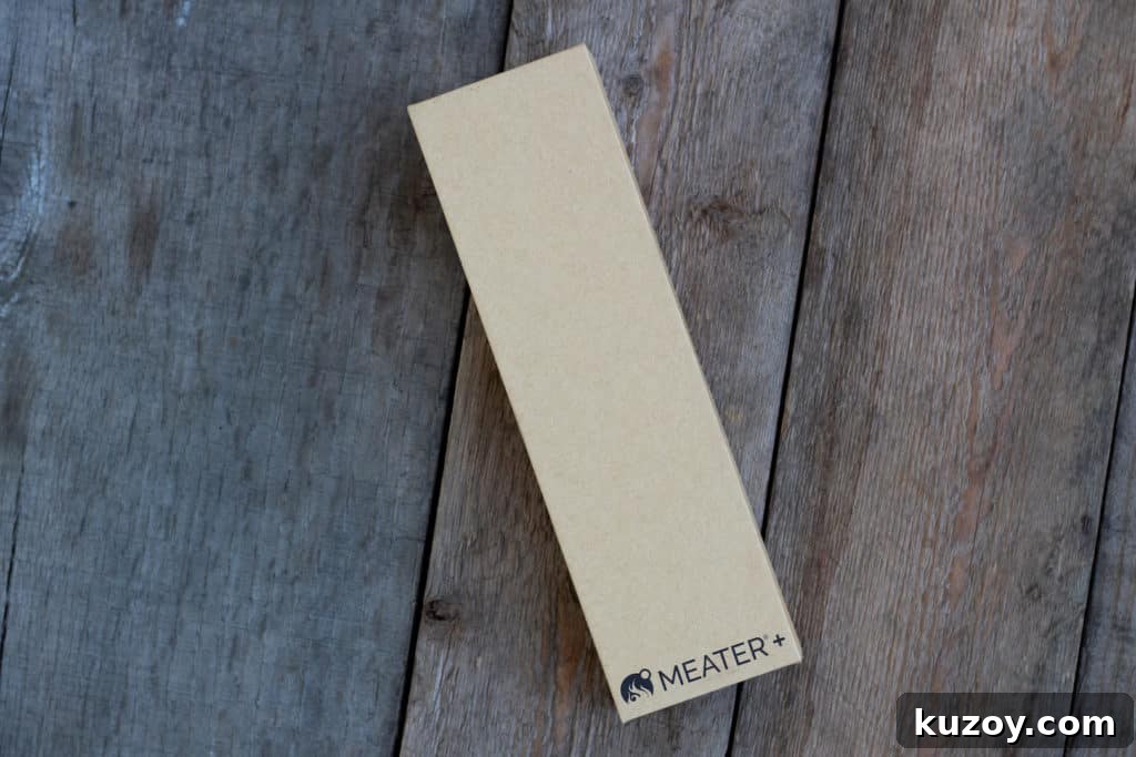 Meater Plus Wireless Meat Thermometer Review: Features & Performance 3 img 30417 2