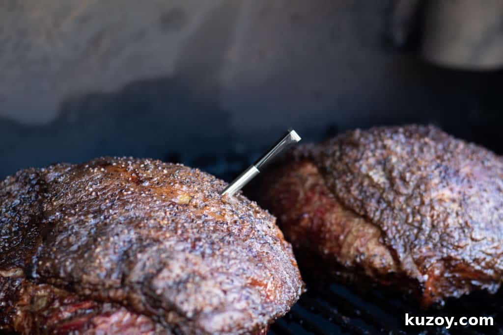 Meater Plus Wireless Meat Thermometer Review: Features & Performance 5 img 30417 5