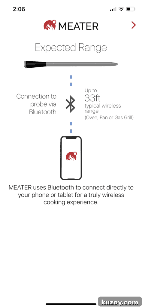 Meater Plus Wireless Meat Thermometer Review: Features & Performance 6 img 30417 6