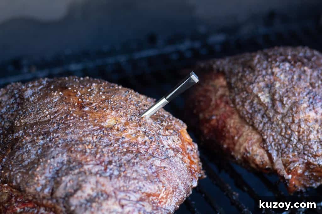 Meater Plus Wireless Meat Thermometer Review: Features & Performance 8 img 30417 8