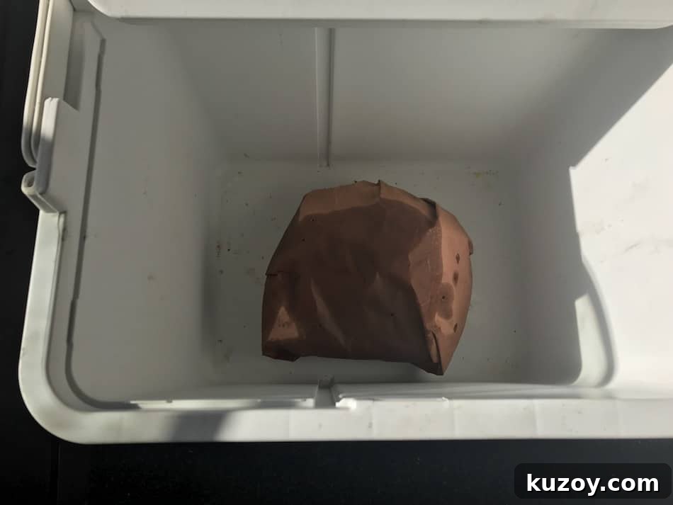 When to Wrap Pork Butt: Temperatures and Timing for Pork Shoulder 6 img 3218 5
