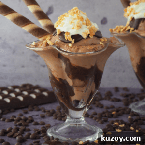 Side view of two chocolate sundaes
