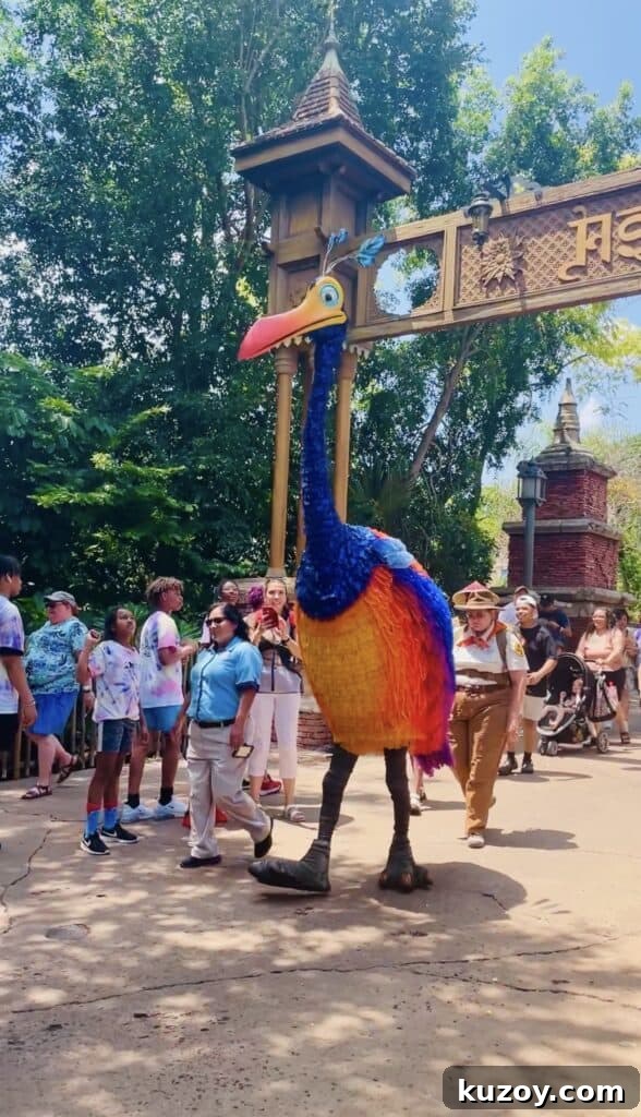 Meet Kevin: Character Meet-and-Greet Guide at Animal Kingdom 2 Kevin the bird on Discovery Island
