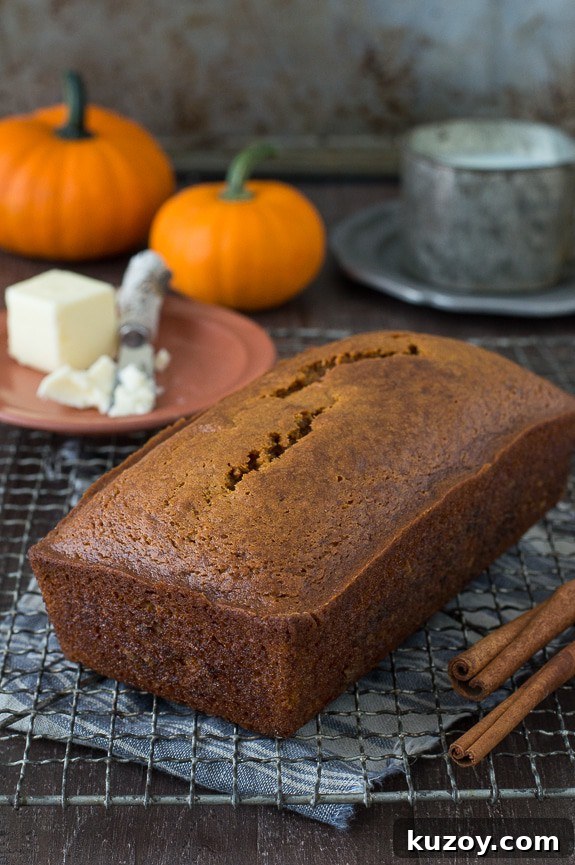 Copycat Starbucks Pumpkin Bread Recipe: Moist Loaf with Spices 2 whole pumpkin bread loaf on metal cooling rack with pumpkins in the background