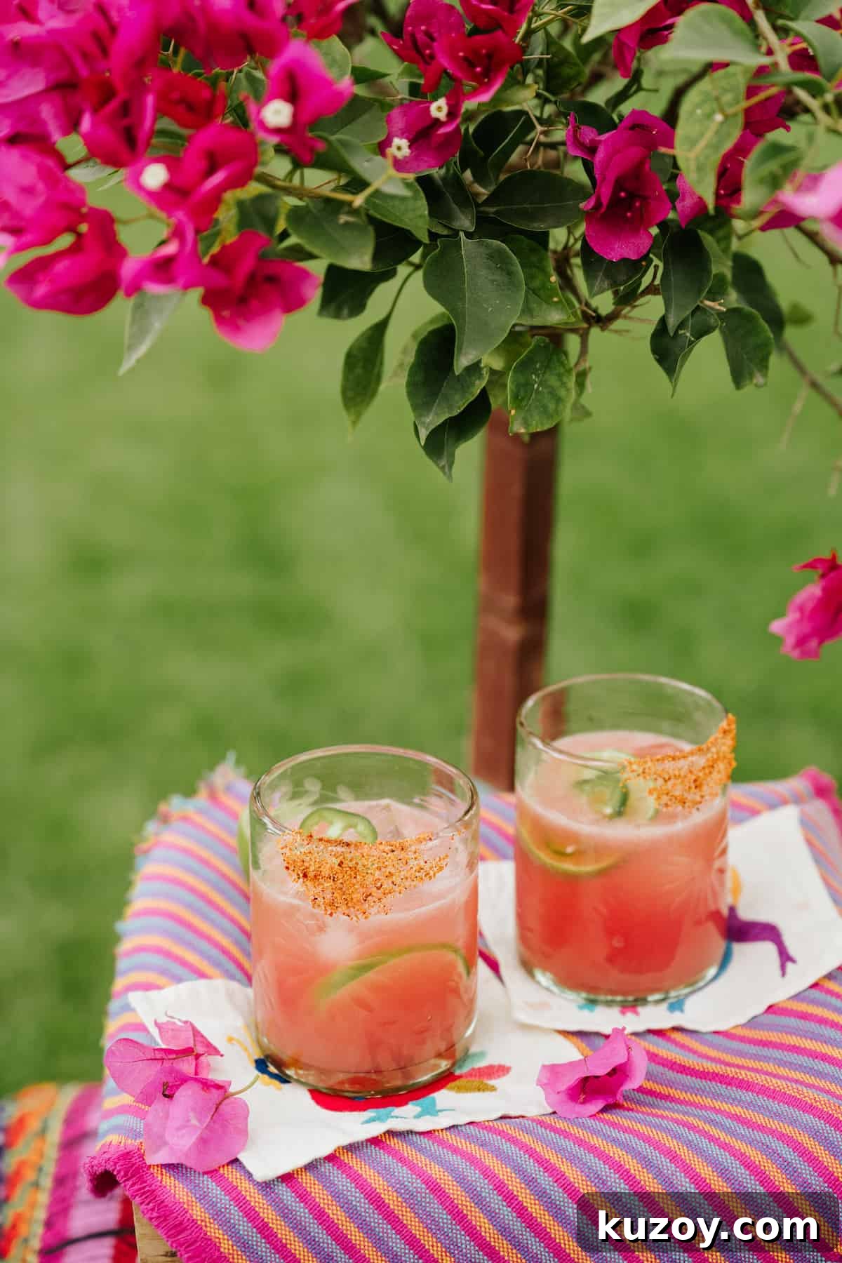 Spicy Jalapeño Watermelon Mezcal Margarita Recipe 6 45 degree angle shot of 2 spicy mezcal watermelon margaritas in rocks glasses lined with tajin outside under a fuchsia flower bush.