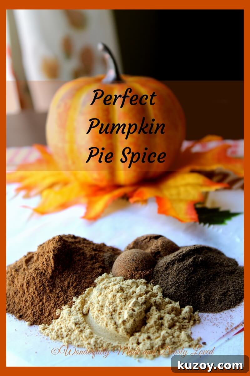 Homemade Pumpkin Pie Spice Blend for Autumn Baking 4 The Perfect Pumpkin Pie Spice for all your holiday baking