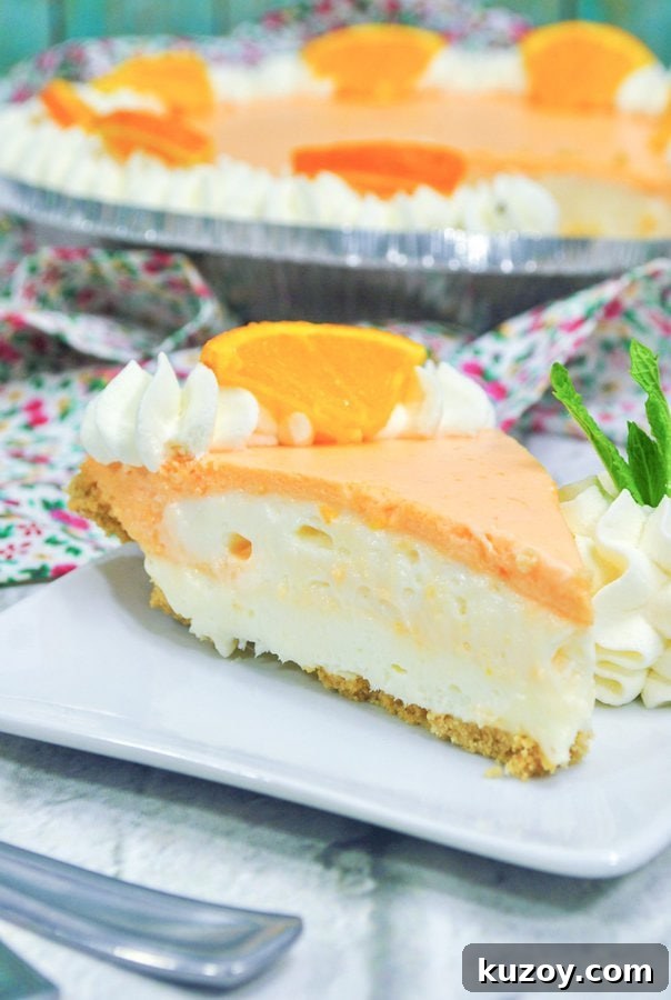 Orange Creamsicle Ice Cream Recipe: Creamy Orange Vanilla Scoop 6 img 34916 5