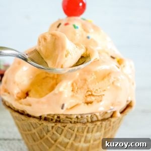 Orange Creamsicle Ice Cream Recipe: Creamy Orange Vanilla Scoop 9 img 34916 8