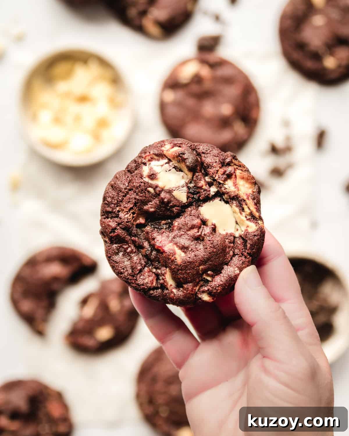 holding a white chocolate chip cookie