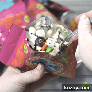 Gluten-Free Campfire S'mores Bags: Portable Dessert Packs 5 img 3577 4