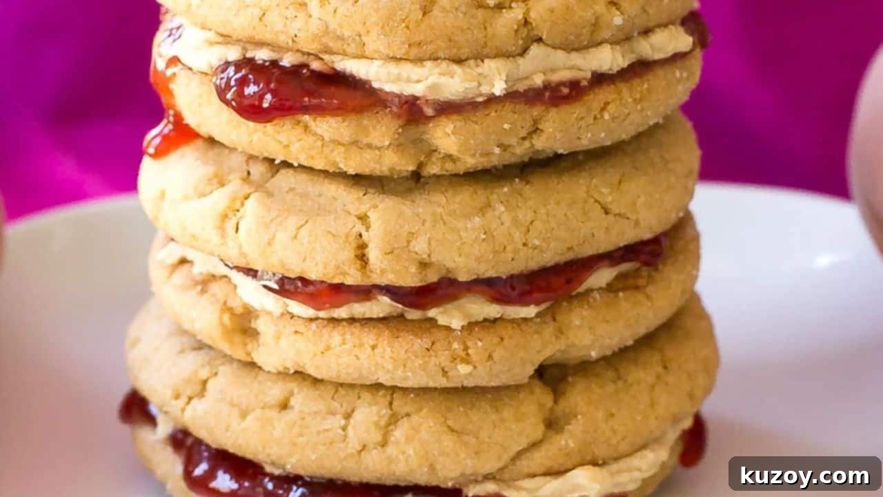 Peanut Butter and Jelly Cookies
