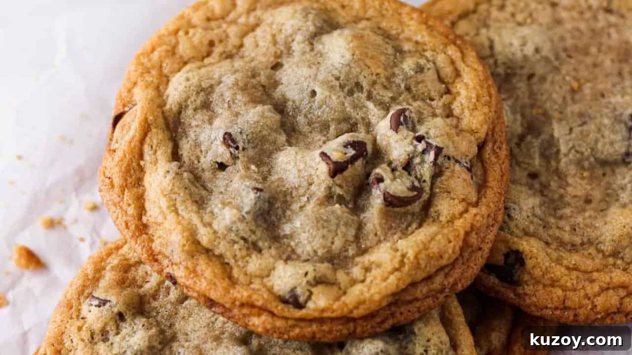 Eggless Chocolate Chip Cookies