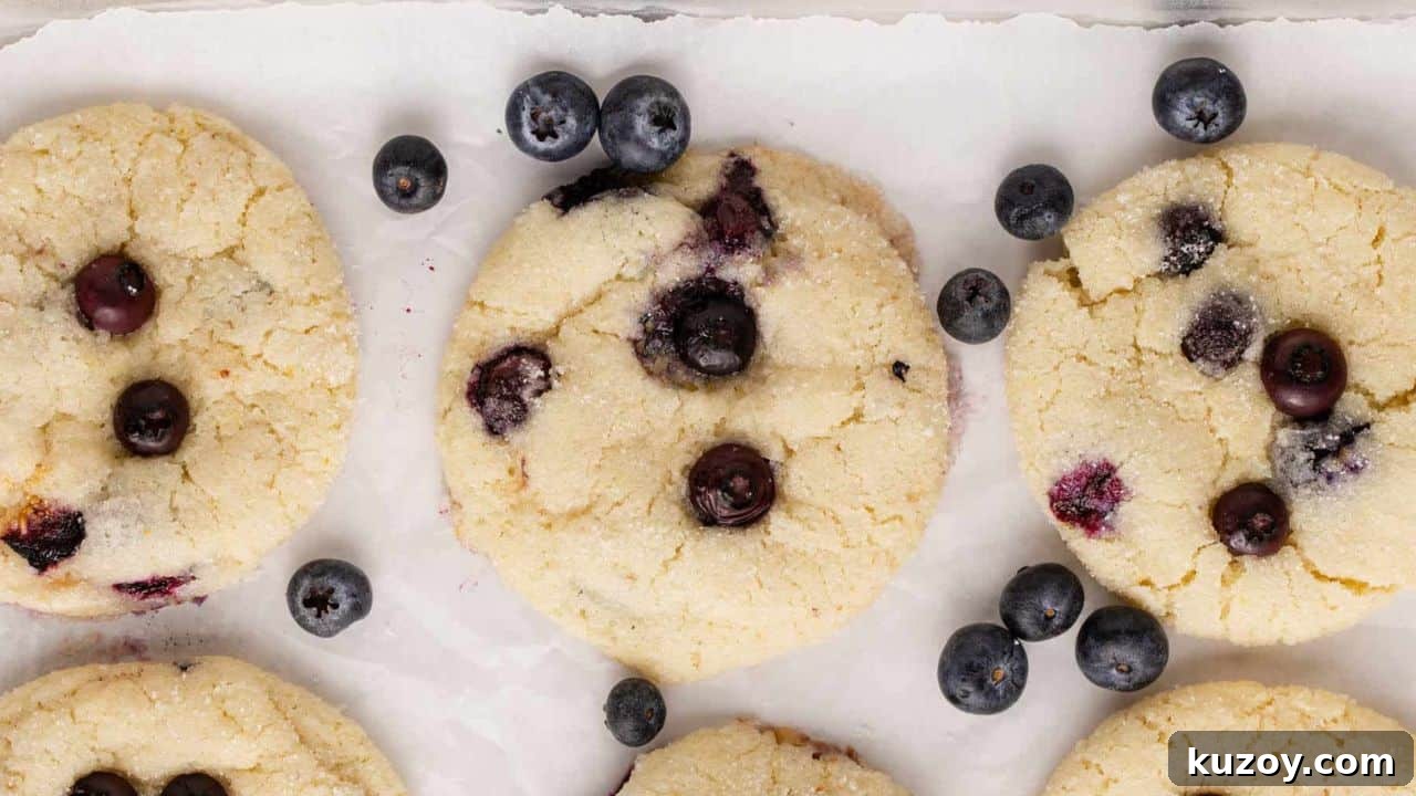 Lemon Blueberry Cookies