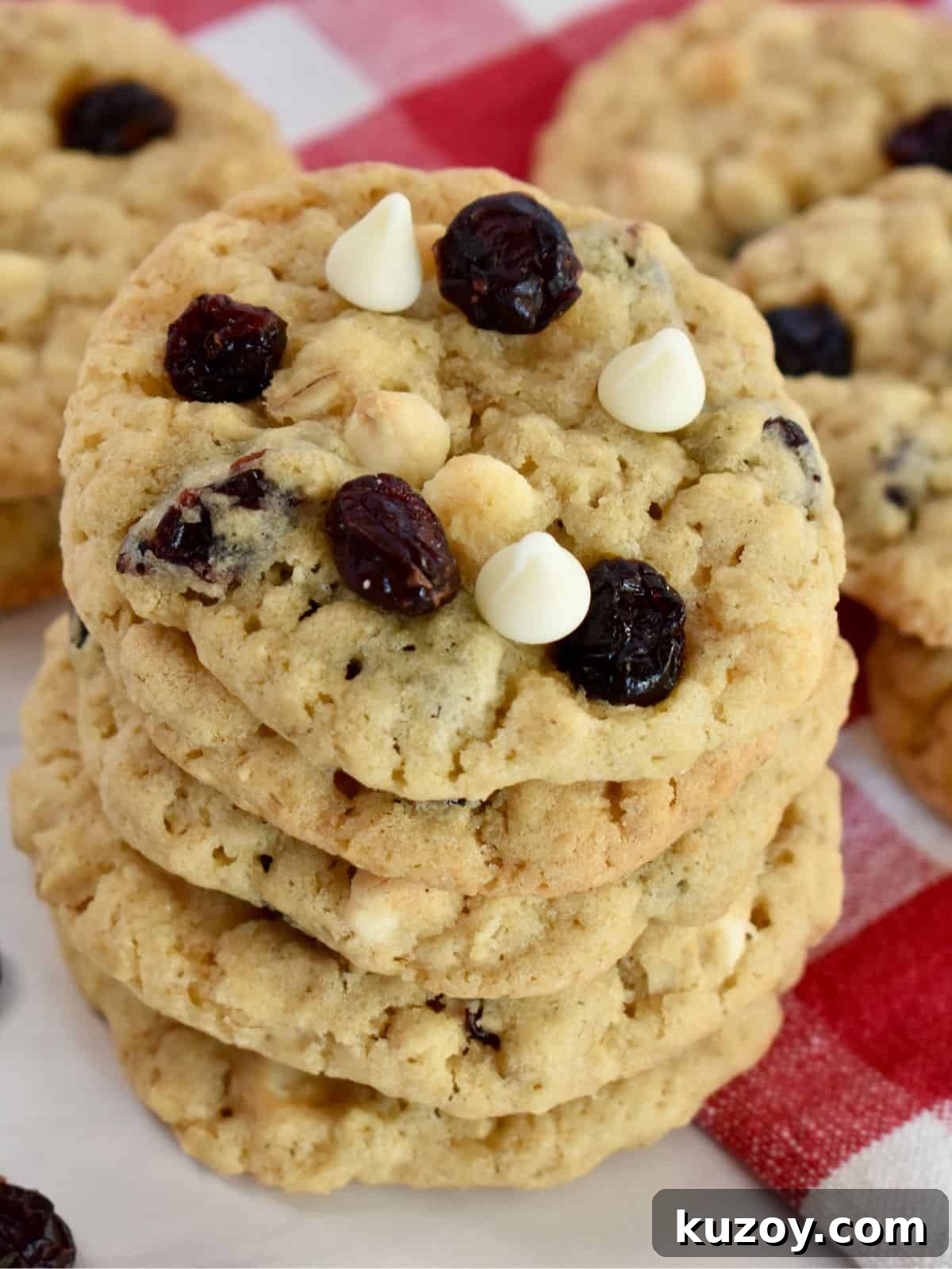 White Chocolate Craisin Oatmeal Cookies Recipe 2 Oatmeal Craisin cookies stacked on each other.