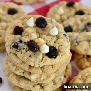 White Chocolate Craisin Oatmeal Cookies Recipe 11 Oatmeal Craisin Cookies recipe.