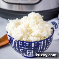 close up of bowl of white rice