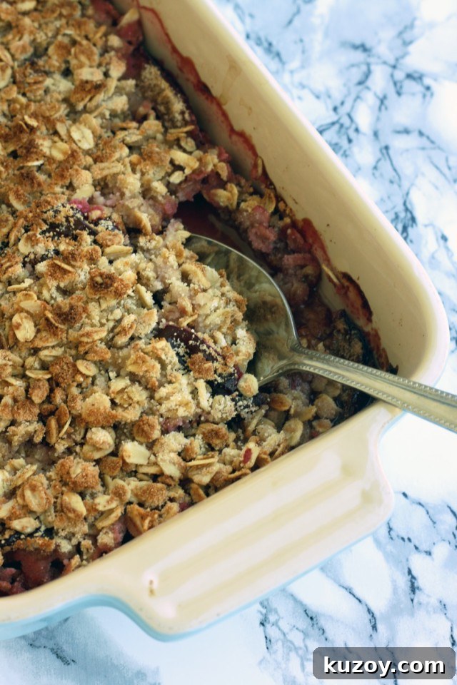 Vegan Coconut Plum Crisp with Oat Topping 5 Vegan plum crisp ready to serve