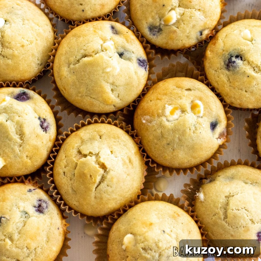 overhead shot of blueberry white chocolate muffins