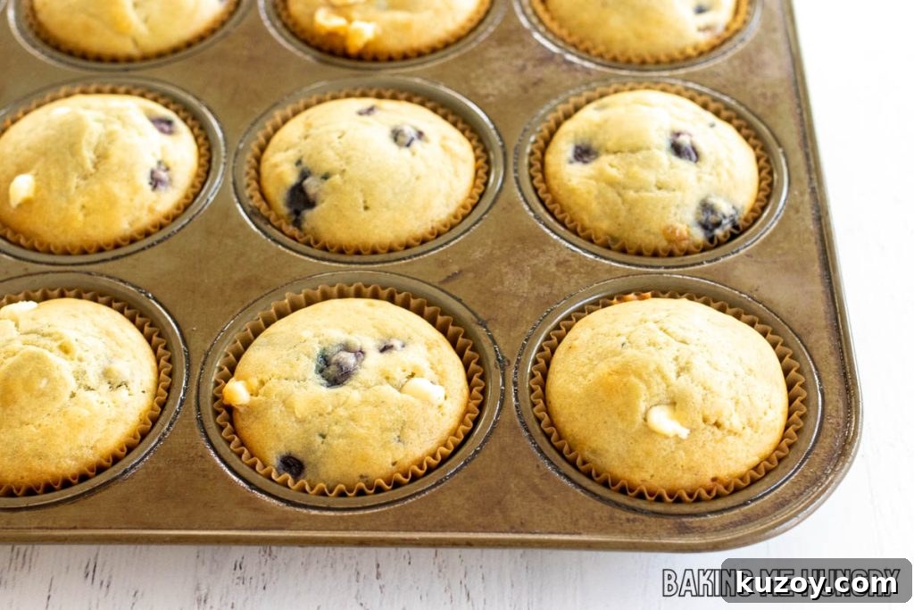 baked muffins in pan