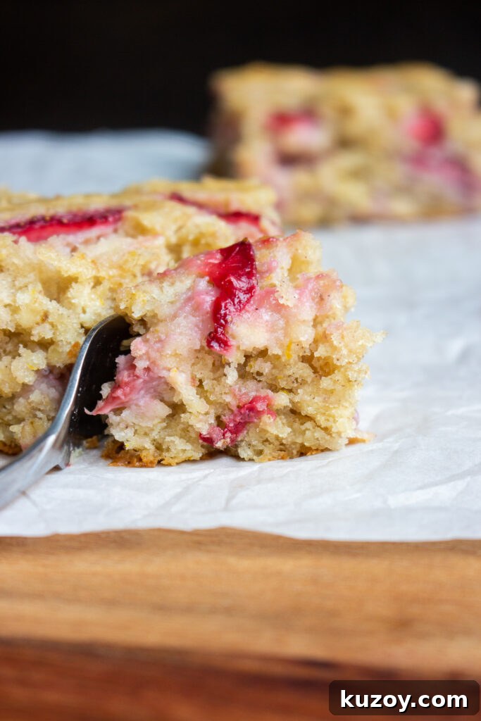 Strawberry Oatmeal Breakfast Cake Recipe for Morning Fuel 6 Cake slice with berries