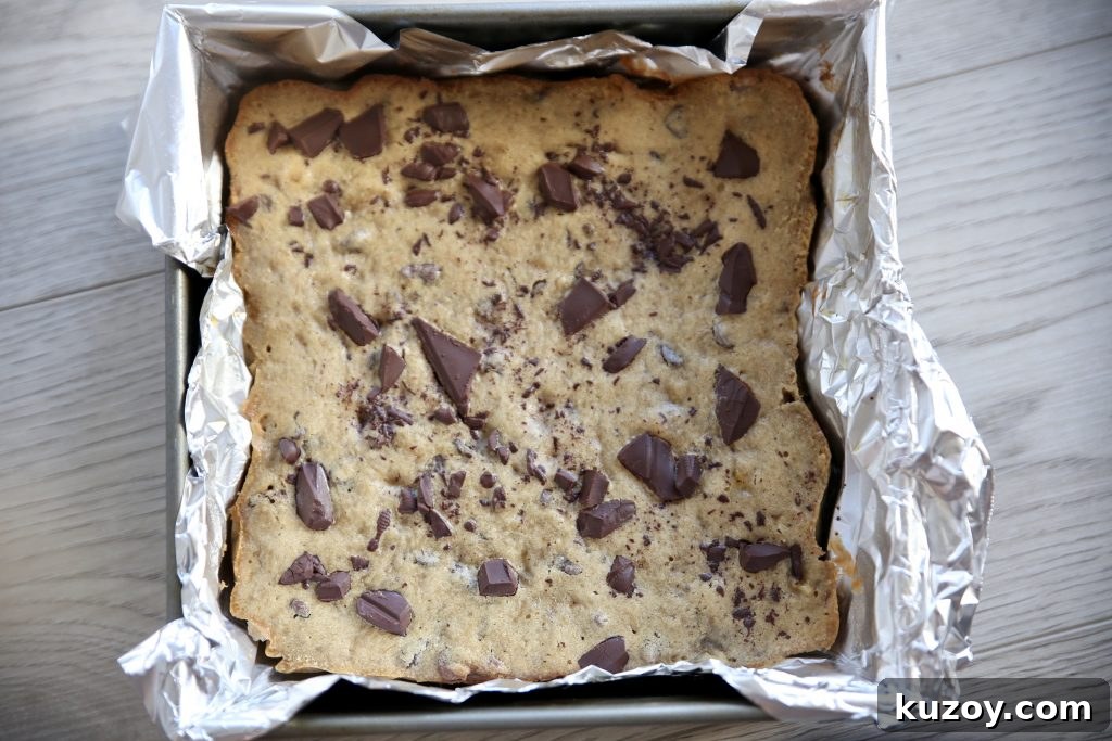 Chocolate Chip Banana Bread Recipe with Moist, Gooey Chips 3 img 4129 2