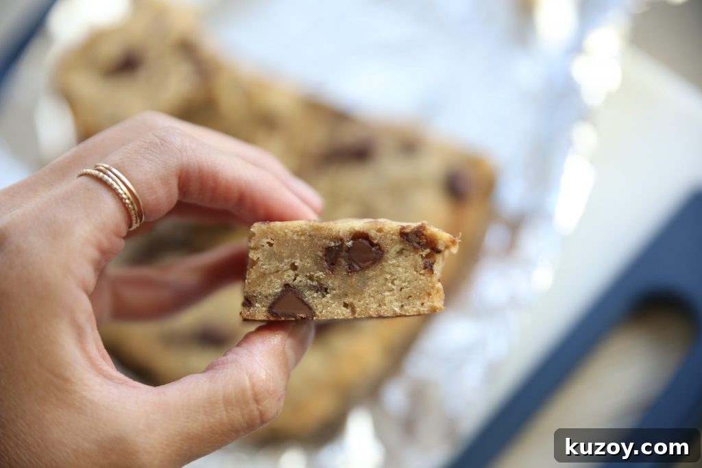 Chocolate Chip Banana Bread Recipe with Moist, Gooey Chips 6 img 4129 5