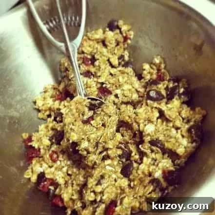 Cranberry Dark Chocolate Breakfast Cookies — Make-Ahead Recipe 6 Breakfast Cookie Batter