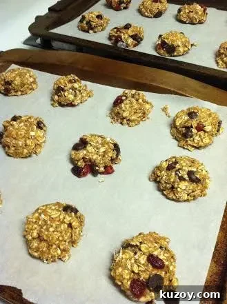 Cranberry Dark Chocolate Breakfast Cookies — Make-Ahead Recipe 7 unnamed