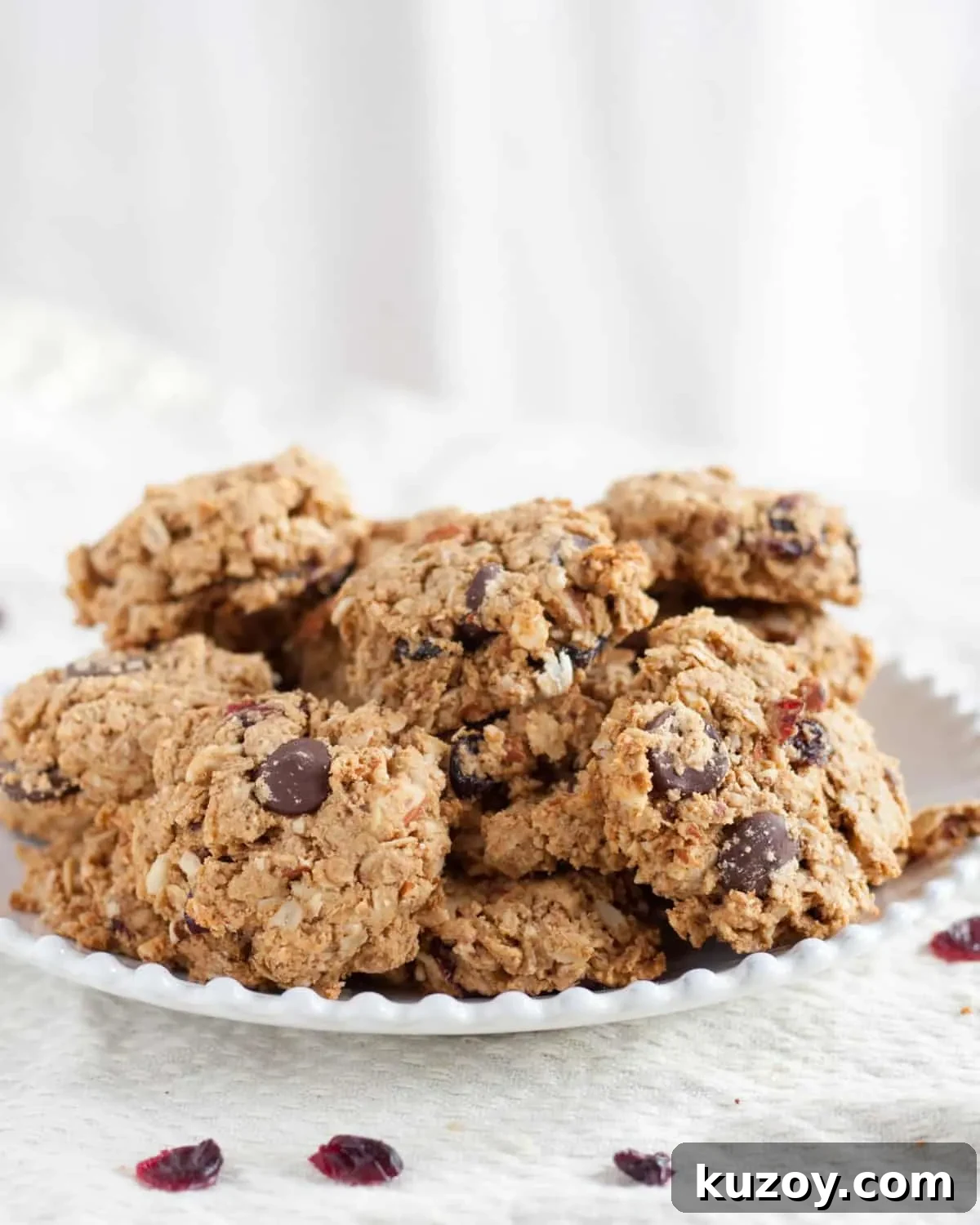 Cranberry Dark Chocolate Breakfast Cookies — Make-Ahead Recipe 8 Loaded with oats, nuts, dried cranberries, and dark chocolate, these make-ahead breakfast cookies are freezer-friendly & pair perfectly with a latte or milk. Recipe on GoodieGodmother.com