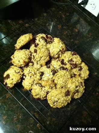 Cranberry Dark Chocolate Breakfast Cookies — Make-Ahead Recipe 9 Chocolate Cranberry Breakfast Cookies
