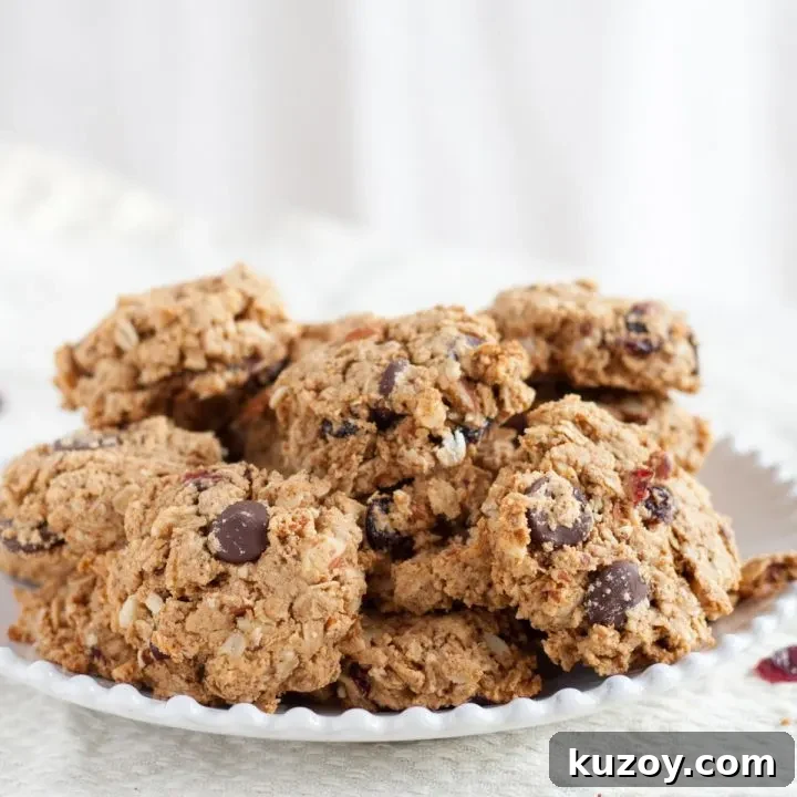 Loaded with oats, nuts, dried cranberries, and dark chocolate, these make-ahead breakfast cookies are freezer-friendly & pair perfectly with a latte or milk. Recipe on GoodieGodmother.com