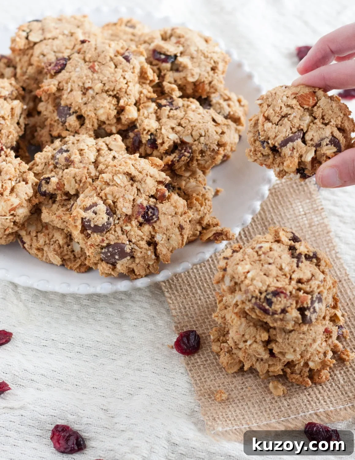 Cranberry Dark Chocolate Breakfast Cookies — Make-Ahead Recipe 4 Loaded with oats, nuts, dried cranberries, and dark chocolate, these make-ahead breakfast cookies are freezer-friendly & pair perfectly with a latte or milk. Recipe on GoodieGodmother.com