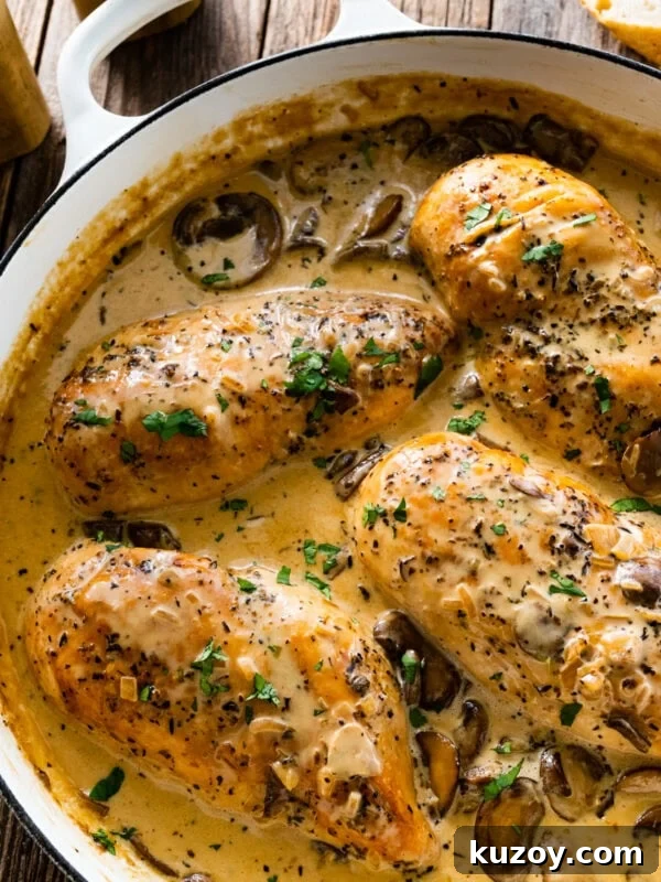 Authentic Chicken Cacciatore Recipe: Classic Italian Stew 16 chicken with creamy mushroom sauce in the pan.