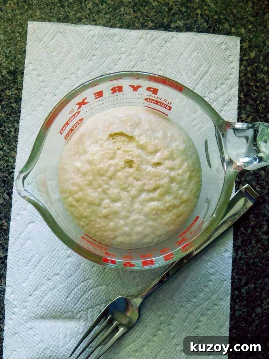 Gluten-Free Breadsticks Recipe That Will Impress Everyone 6 gluten-free breadsticks yeast