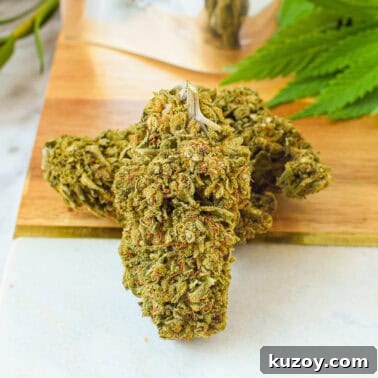How to Cook with Decarbed Cannabis: Edible Recipes & Tips 16 img 46842 15